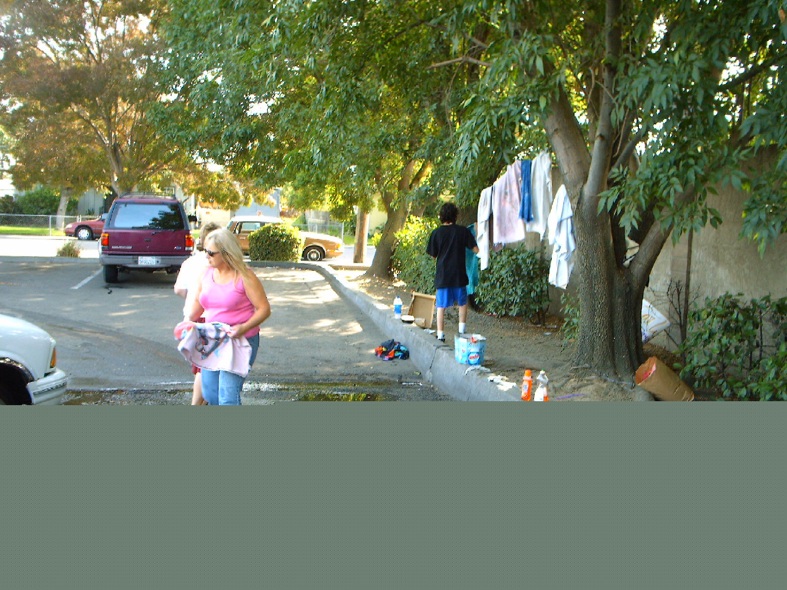 pict0003.jpg